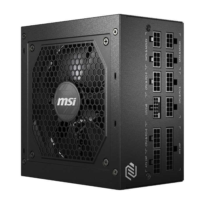 MSI MAG A850GL PCIE5
