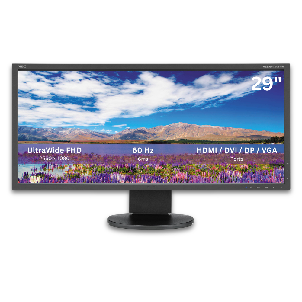 NEC MultiSync EA294WMi