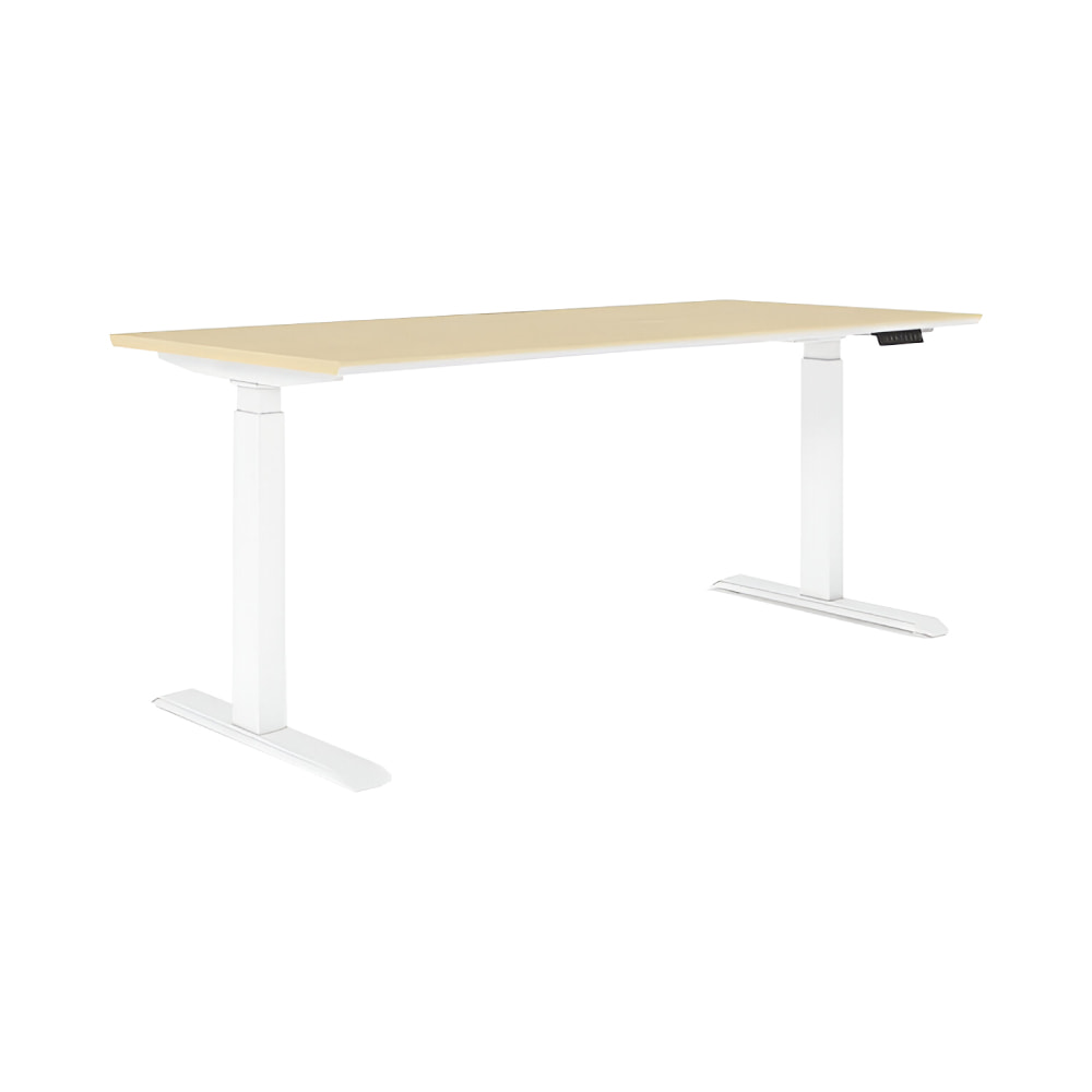 Noel Adjustable Desk